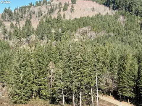 000 Logsden Rd, Blodgett, OR 97326 photo 8
