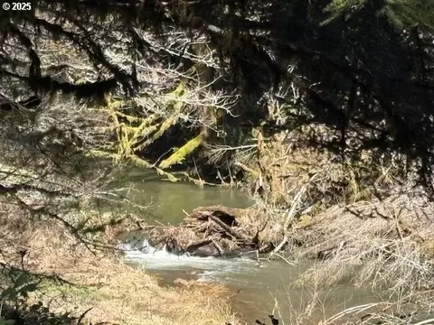 000 Logsden Rd, Blodgett, OR 97326 photo 12