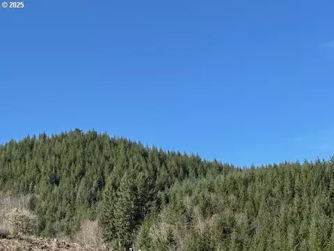 000 Logsden Rd, Blodgett, OR 97326 photo 3