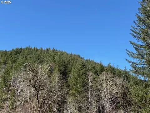 000 Logsden Rd, Blodgett, OR 97326 photo 2