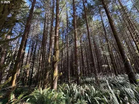 000 Logsden Rd, Blodgett, OR 97326 photo 18