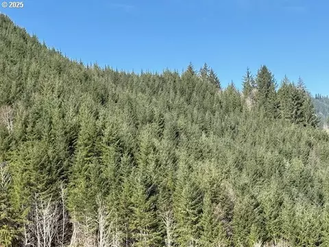 000 Logsden Rd, Blodgett, OR 97326 photo 5