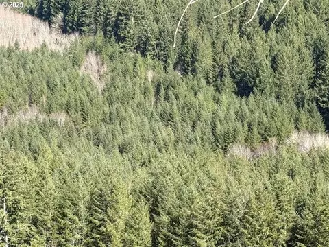 000 Logsden Rd, Blodgett, OR 97326 photo 7
