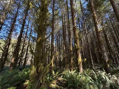 000 Logsden Rd, Blodgett, OR 97326 photo 17