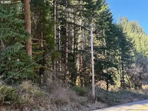 000 Logsden Rd, Blodgett, OR 97326 photo 10