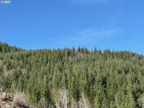 000 Logsden Rd, Blodgett, OR 97326 photo 4