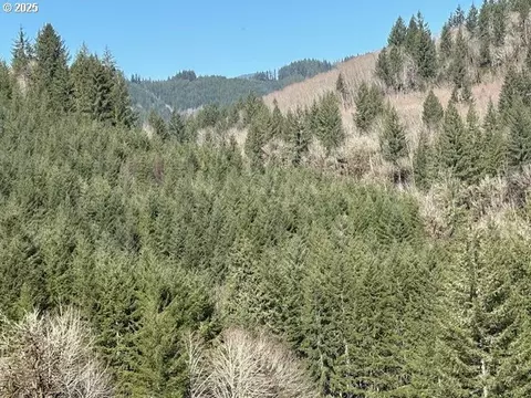 000 Logsden Rd, Blodgett, OR 97326 photo 6
