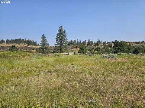 Olson Rd, Goldendale, WA 98620