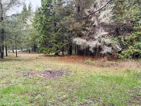 225 Doraleen Ln, Glide, OR 97443 photo 5