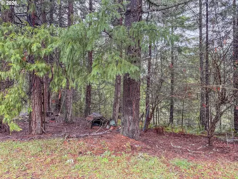 225 Doraleen Ln, Glide, OR 97443 photo 6