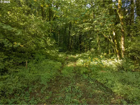 602 Wildlife Dr, Washougal, WA 98671