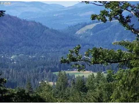 Lyons Rd, Husum, WA 98623