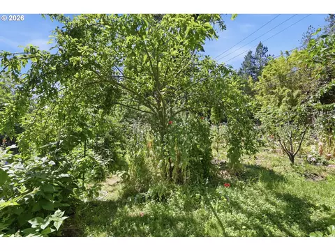 Exterior - 4630 W Hillside Dr, Eugene, OR 97405 photo 14 of 16