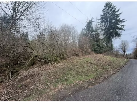0 Debast Rd, Rainier, OR 97048 photo 2