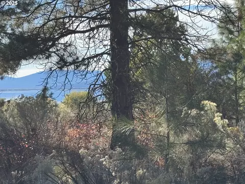 irving way, Chiloquin, OR 97624 photo 27