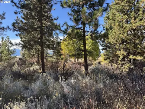 irving way, Chiloquin, OR 97624 photo 23