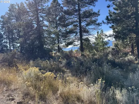 irving way, Chiloquin, OR 97624 photo 26