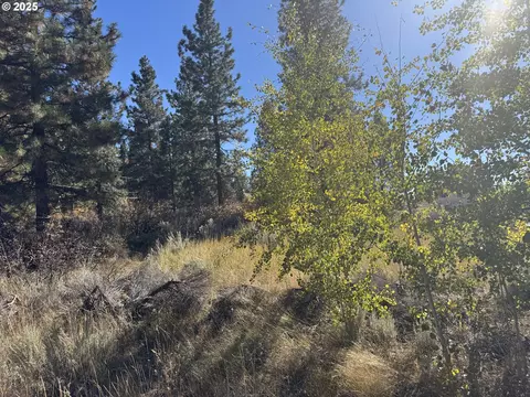 irving way, Chiloquin, OR 97624 photo 2