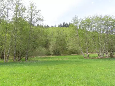 Hagen Rd, Mossyrock, WA 98564