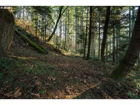 Other - 810 NW Brady Rd, Camas, WA 98607 photo 11 of 16
