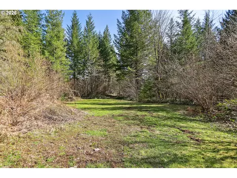 Exterior - 81 Wind Crest Rd, Carson, WA 98610 photo 4 of 9