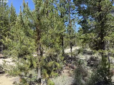 off nf 9768, Crescent, OR 97733 photo 8