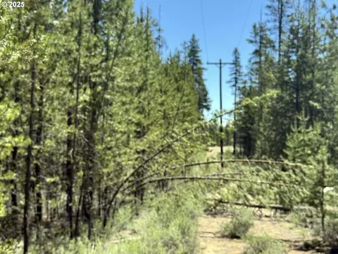 off nf 9768, Crescent, OR 97733 photo 31