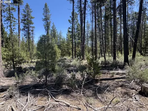 off nf 9768, Crescent, OR 97733 photo 20