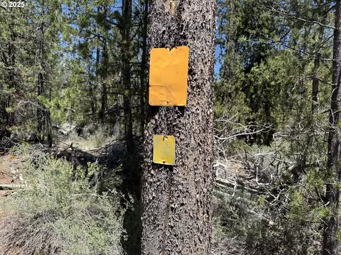 off nf 9768, Crescent, OR 97733 photo 34