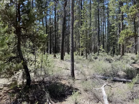 off nf 9768, Crescent, OR 97733 photo 12