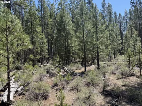 off nf 9768, Crescent, OR 97733 photo 28