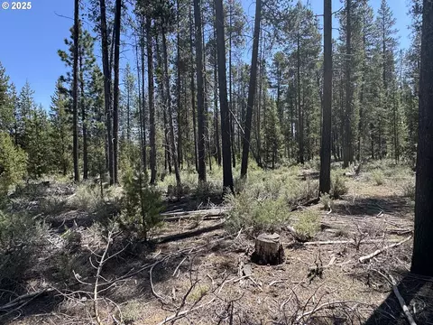 off nf 9768, Crescent, OR 97733 photo 19