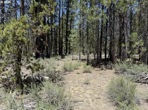 off nf 9768, Crescent, OR 97733 photo 14