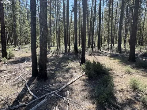 off nf 9768, Crescent, OR 97733 photo 21