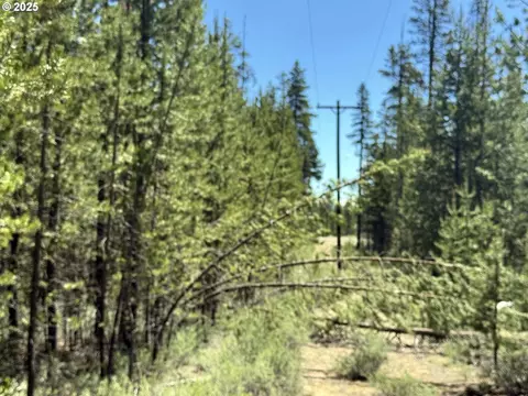 off nf 9768, Crescent, OR 97733 photo 30