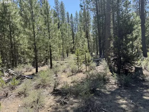 off nf 9768, Crescent, OR 97733 photo 27