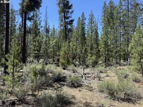off nf 9768, Crescent, OR 97733 photo 26