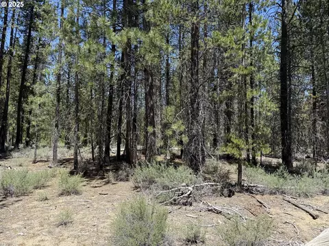 off nf 9768, Crescent, OR 97733 photo 15