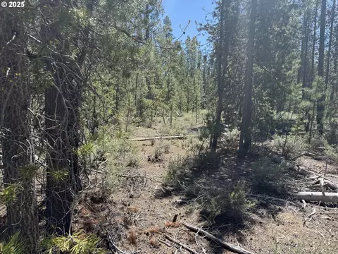 off nf 9768, Crescent, OR 97733 photo 24