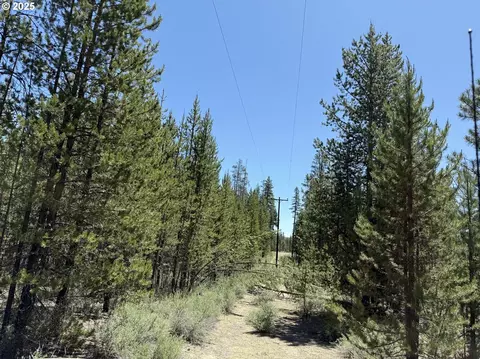 off nf 9768, Crescent, OR 97733 photo 10