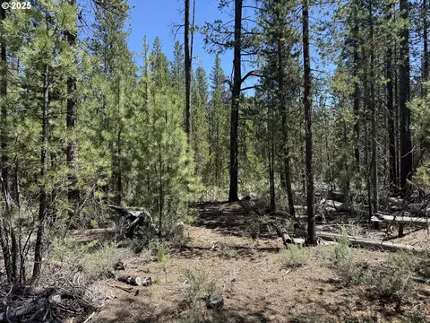 off nf 9768, Crescent, OR 97733 photo 23