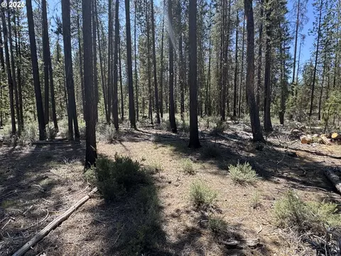 off nf 9768, Crescent, OR 97733 photo 22