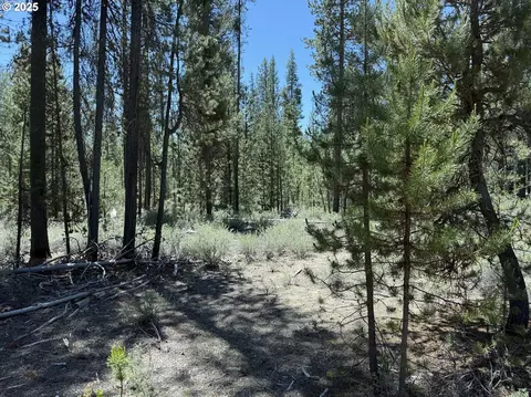 off nf 9768, Crescent, OR 97733 photo 11