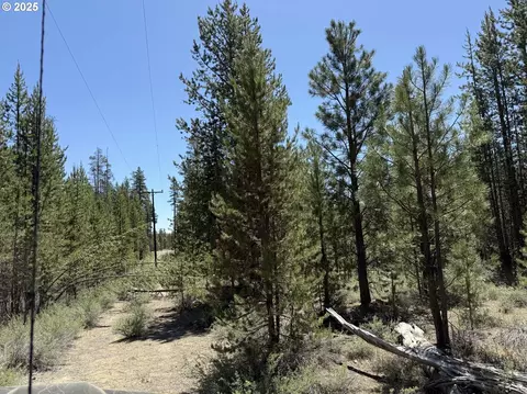 off nf 9768, Crescent, OR 97733 photo 9