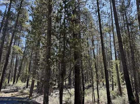 off nf 9768, Crescent, OR 97733 photo 3