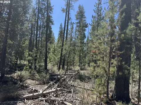 off nf 9768, Crescent, OR 97733 photo 25