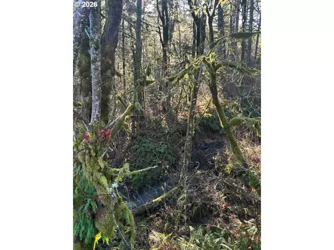 rock creek rd, Sheridan, OR 97378