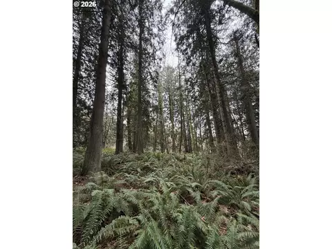 Meserve Rd, Rainier, OR 97048 photo 8