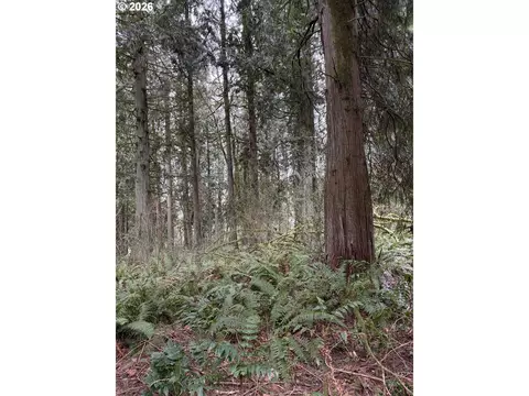 Meserve Rd, Rainier, OR 97048 photo 14