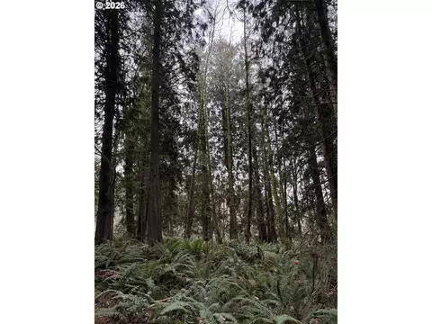 Meserve Rd, Rainier, OR 97048 photo 6